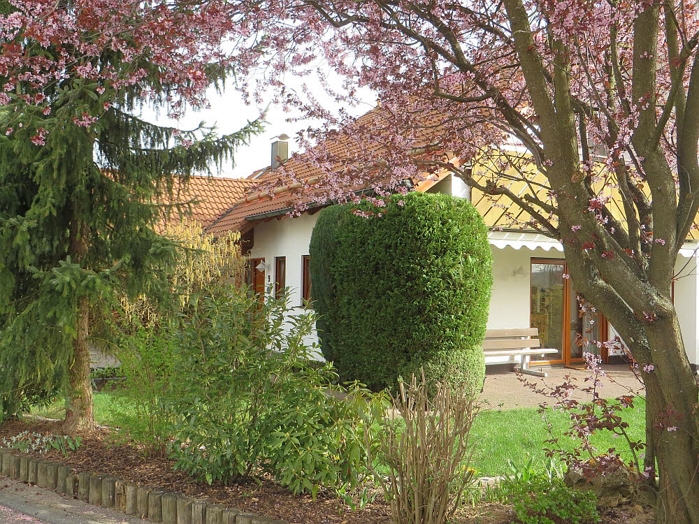 Haus